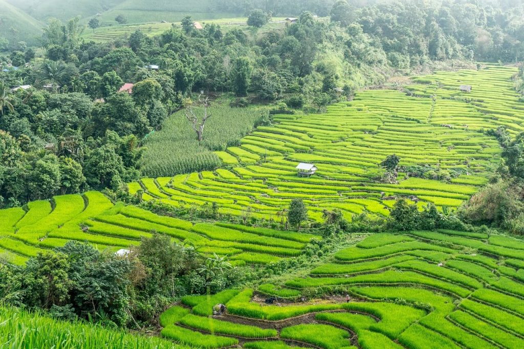 chiang-mai-towkir-ahmed