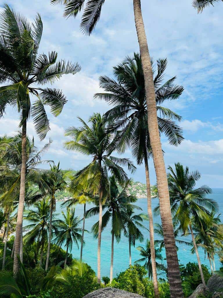 john-suwan viewpoint hiking, koh tao island, thailand, coconut tree hill view
